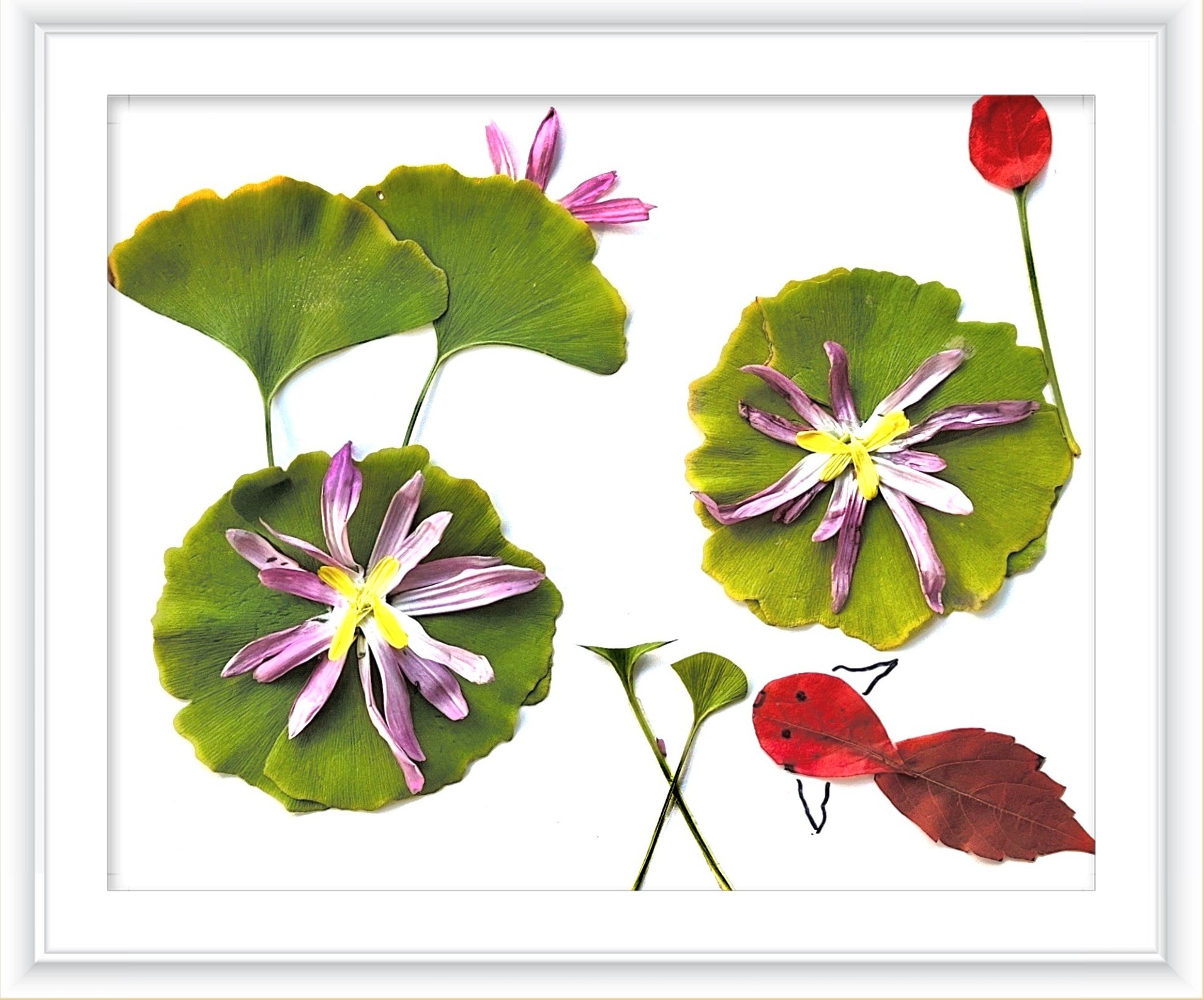 《一路清莲》作者：张颖蕊_副本.jpg