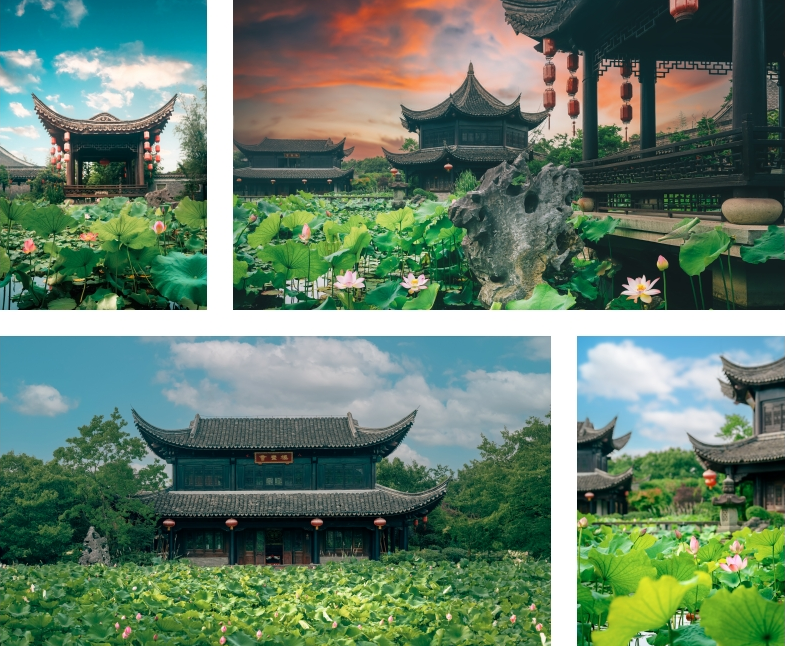 图片5.png 图片5.png